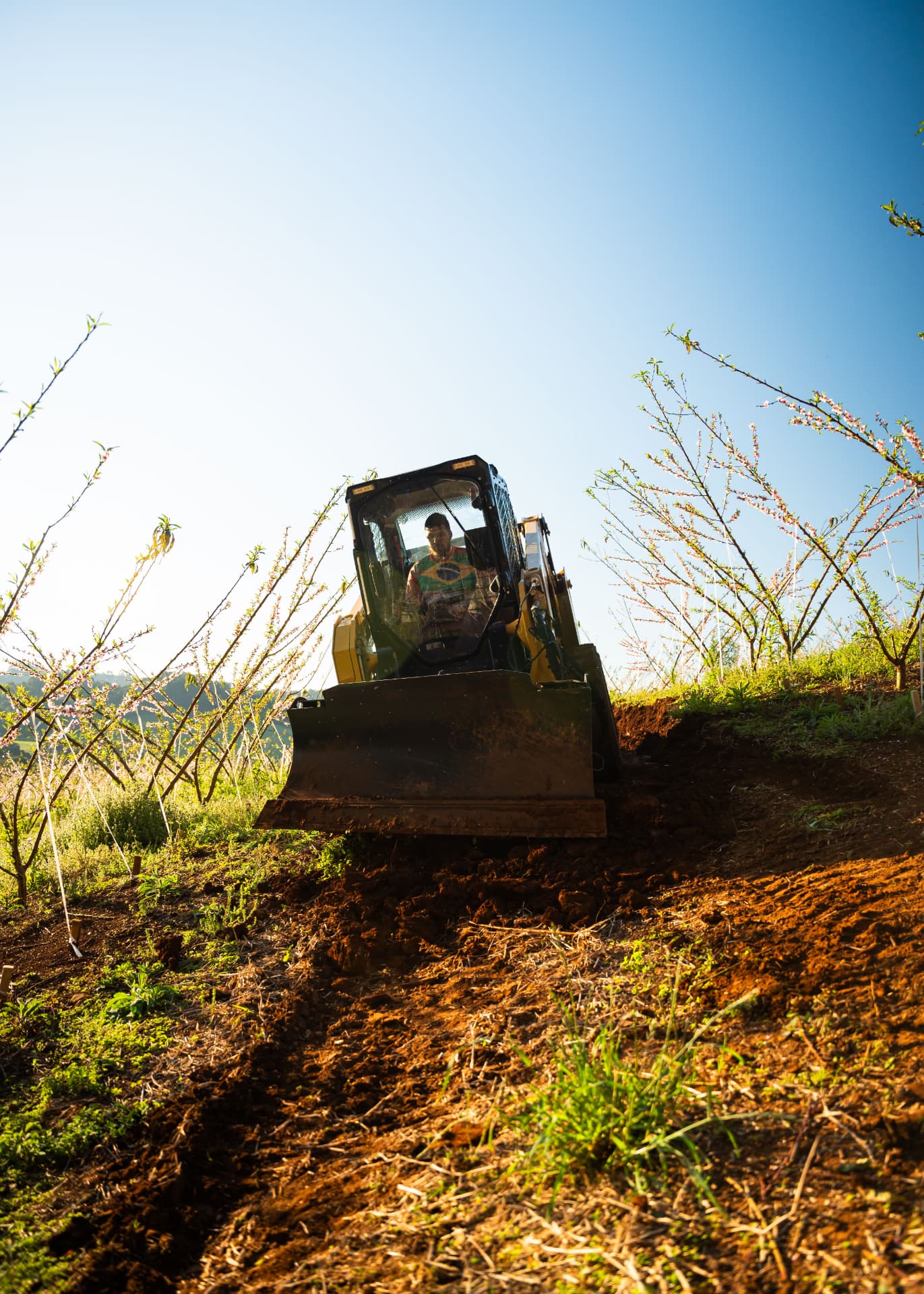 Minicarregadeira Cat 250 nivelando terreno