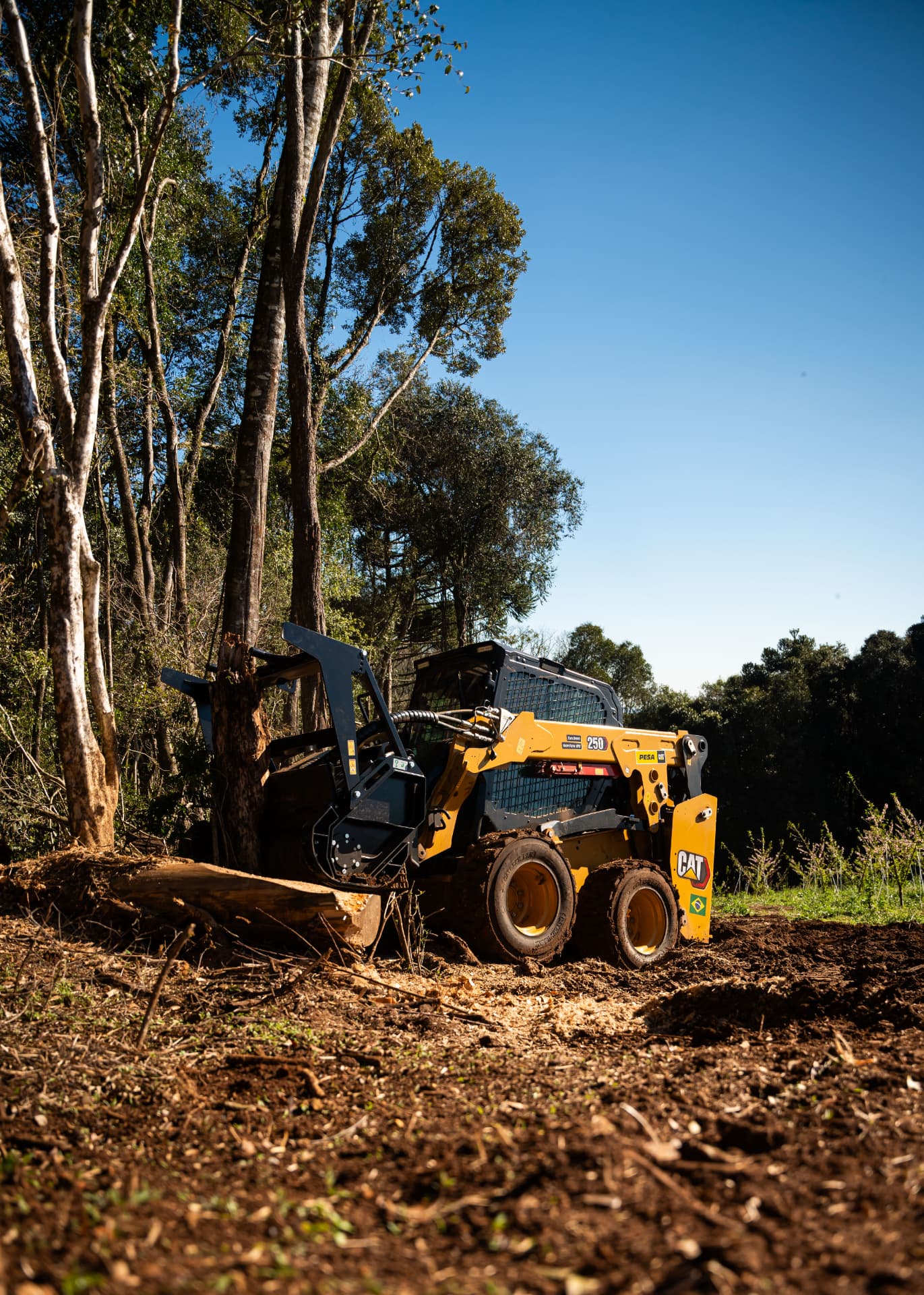 Minicarregadeira Cat 250 com triturador florestal